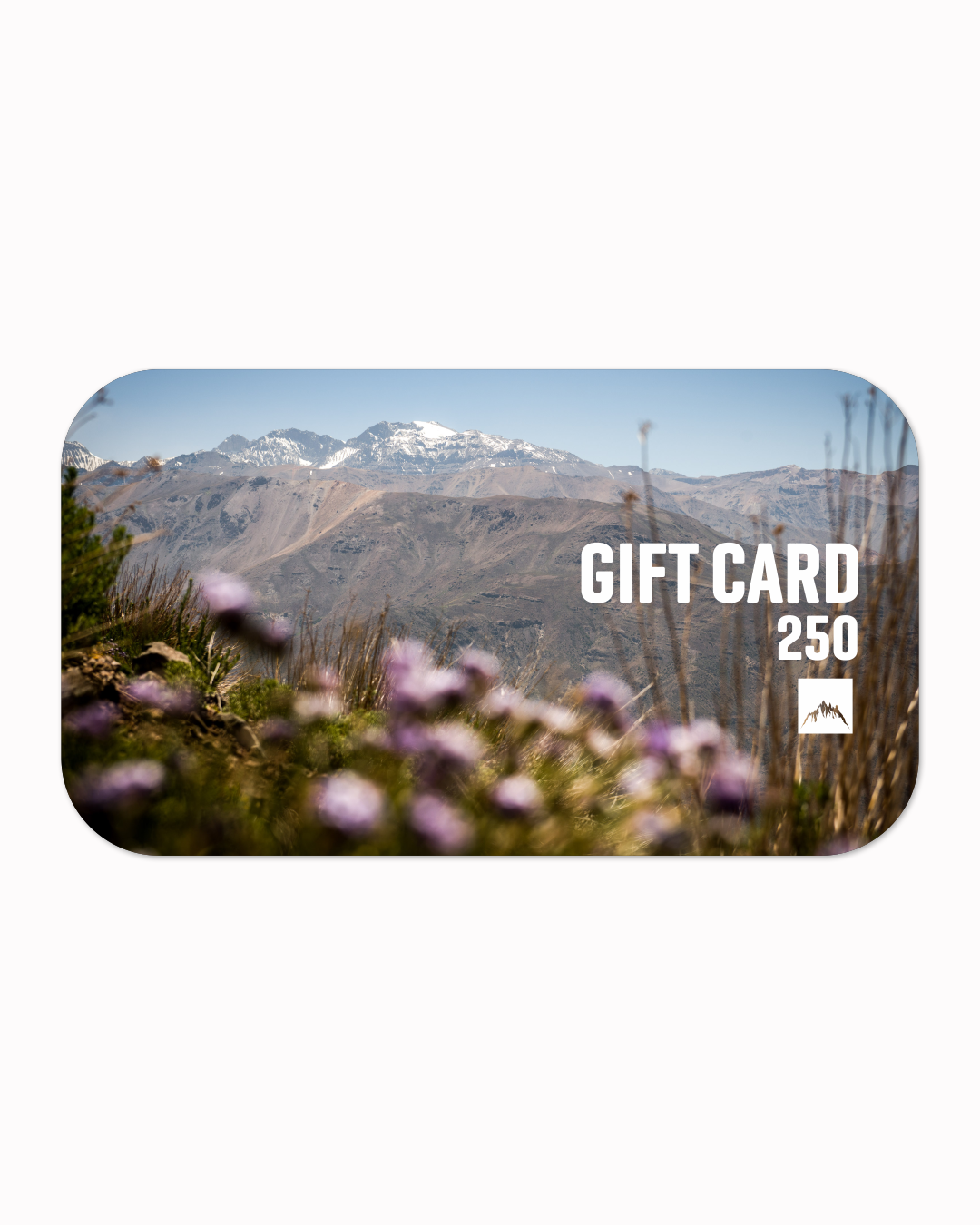 Gift Card Season