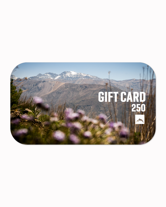 Gift Card Season