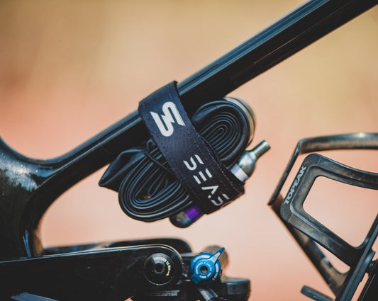 Frame Strap - SS